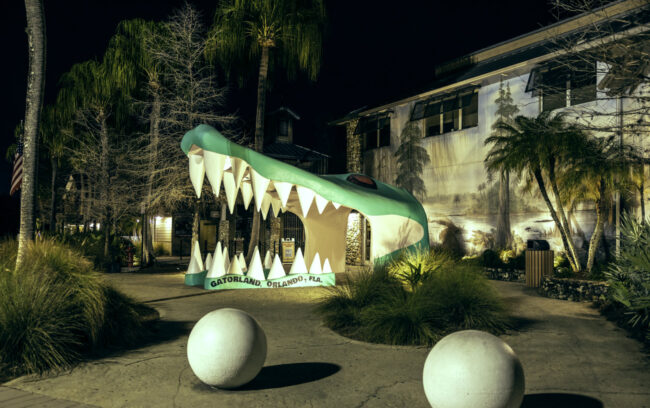 Orlando Outdoor Lighting Gatorland-41-edit Orlando Outdoor Lighting Gatorland 41